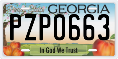 GA license plate PZP0663