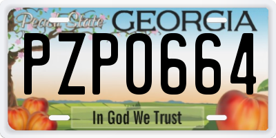 GA license plate PZP0664