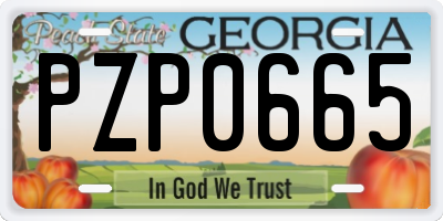 GA license plate PZP0665