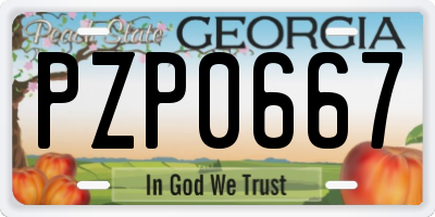 GA license plate PZP0667