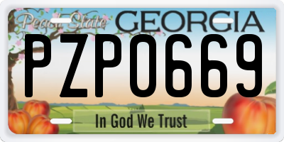 GA license plate PZP0669