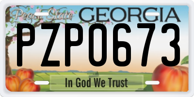 GA license plate PZP0673