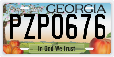 GA license plate PZP0676