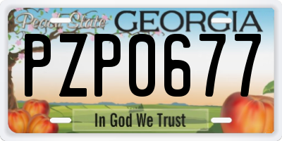GA license plate PZP0677