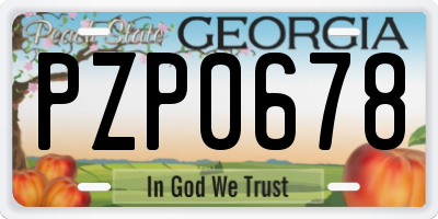 GA license plate PZP0678