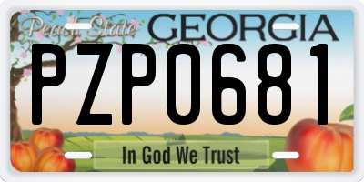 GA license plate PZP0681