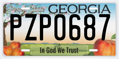 GA license plate PZP0687