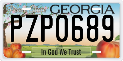 GA license plate PZP0689
