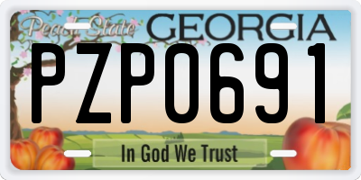GA license plate PZP0691