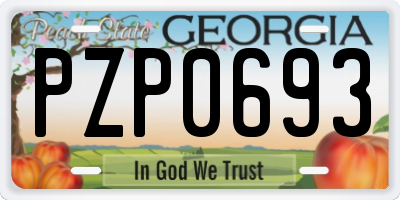 GA license plate PZP0693