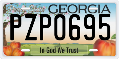 GA license plate PZP0695