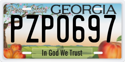 GA license plate PZP0697