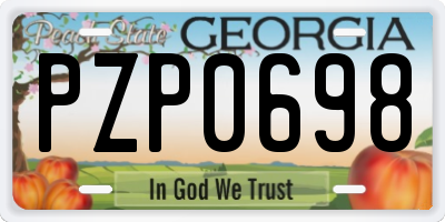 GA license plate PZP0698