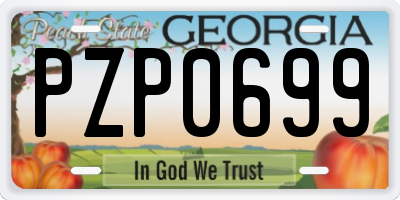 GA license plate PZP0699
