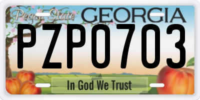 GA license plate PZP0703