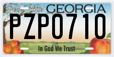 GA license plate PZP0710