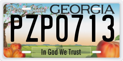 GA license plate PZP0713