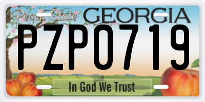 GA license plate PZP0719