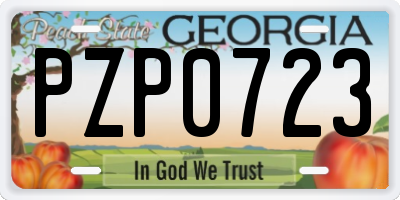 GA license plate PZP0723