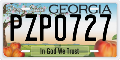 GA license plate PZP0727