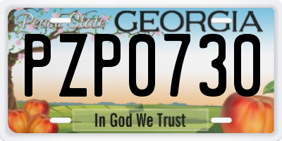 GA license plate PZP0730