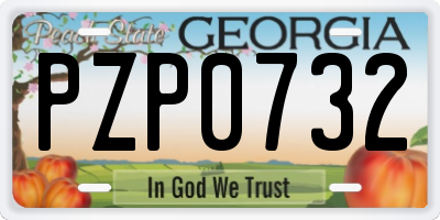 GA license plate PZP0732