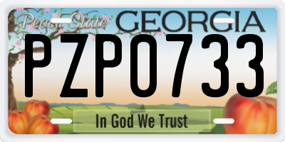 GA license plate PZP0733