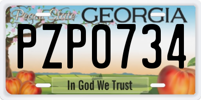 GA license plate PZP0734