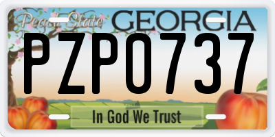 GA license plate PZP0737