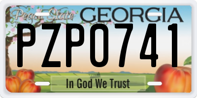 GA license plate PZP0741