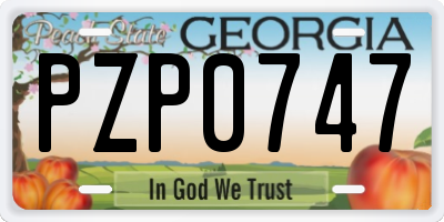GA license plate PZP0747