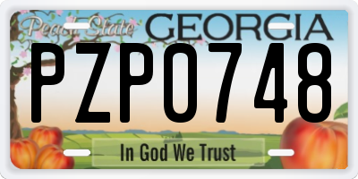 GA license plate PZP0748