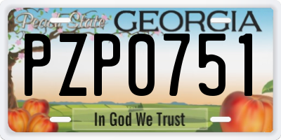 GA license plate PZP0751