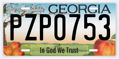 GA license plate PZP0753