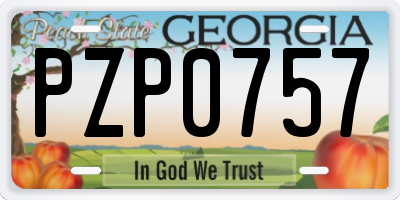 GA license plate PZP0757