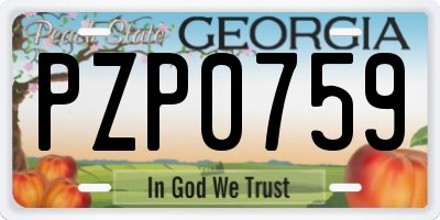 GA license plate PZP0759