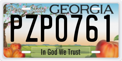 GA license plate PZP0761