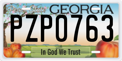 GA license plate PZP0763