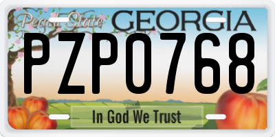 GA license plate PZP0768