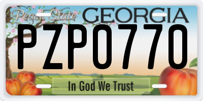GA license plate PZP0770