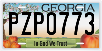 GA license plate PZP0773