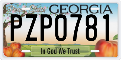 GA license plate PZP0781
