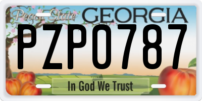 GA license plate PZP0787