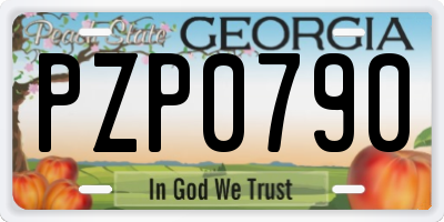 GA license plate PZP0790