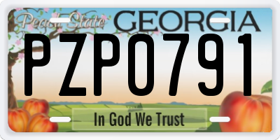 GA license plate PZP0791