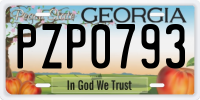 GA license plate PZP0793