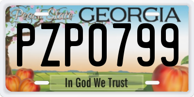 GA license plate PZP0799