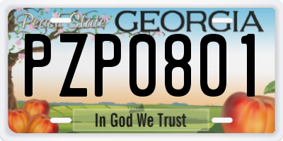 GA license plate PZP0801