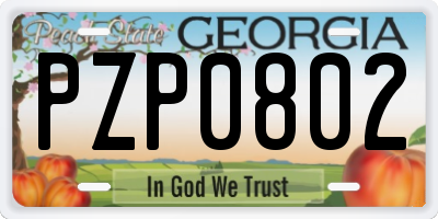 GA license plate PZP0802
