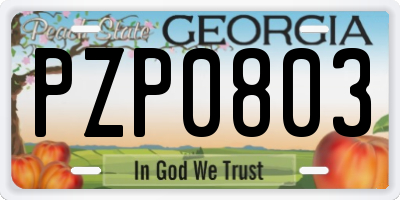 GA license plate PZP0803